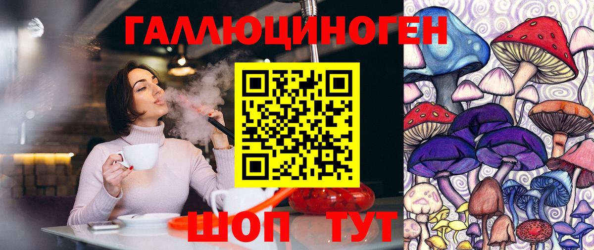 Омск  Галлюциногенные грибы Psilocybine cubensis  Вход с VPN 